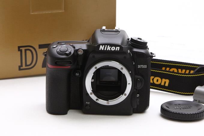 #2344 【美品】 シャッター数20,778回 Nikon ニコン D5500