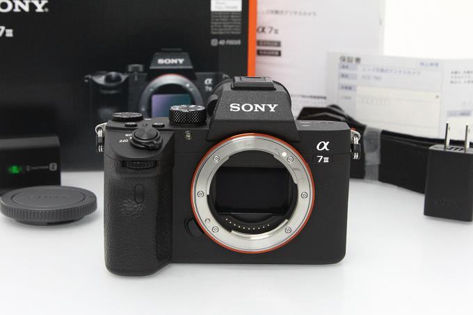 今季イチオリーズ SONY α7Ⅲ + ズームレンズ /その他【1065回 