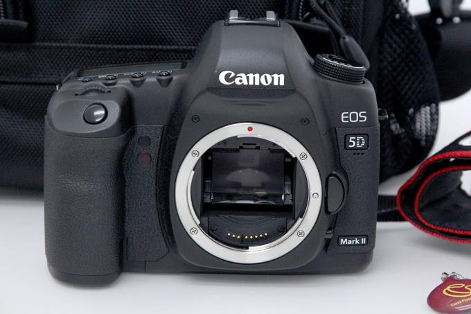 #DL11 Canon EOS 5D Mark II シャッター数8744