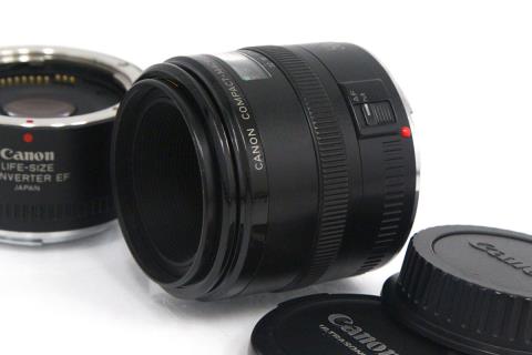 EF50mm F2.5 コンパクトマクロ γA4843-2R3A