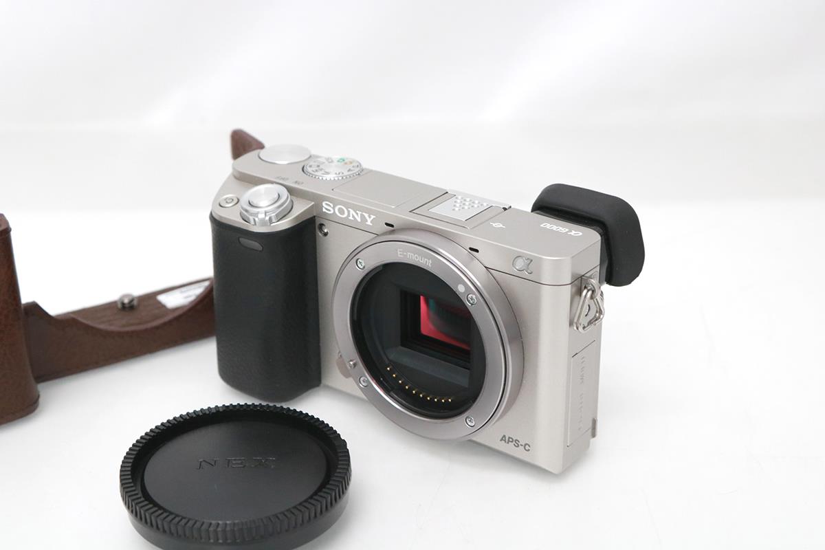 Sony α6000 ミラーレスカメラ 本体とレンズ 1万円台で厳選！ はじめての