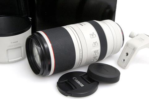 RF100-500mm F4.5-7.1 L IS USM CA01-A10437-2R9