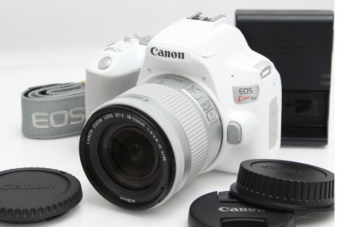 EOS Kiss X10 EF-S18-55 IS STM レンズキット [ホワイト] CA01-P016-3U4B