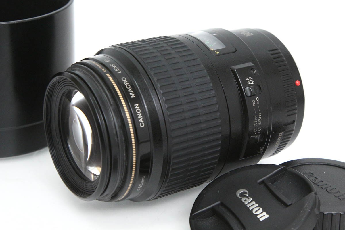 EF100F2.8マクロUSM 41Qd6+nPg-L.jpg