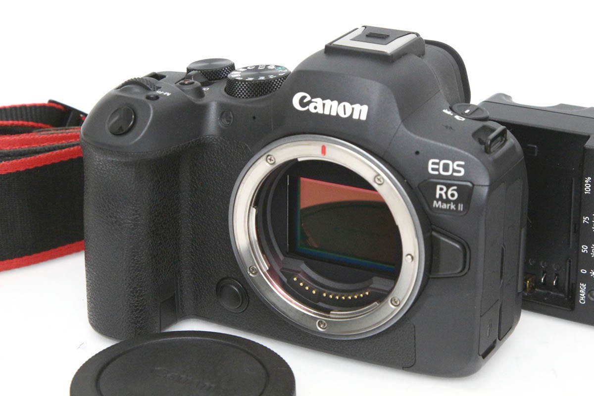 EOS R6 Mark II ボディ(センサー清掃済) CA01-R4456-2S3