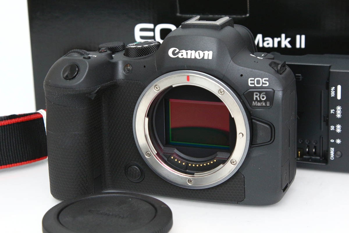 EOS R6 Mark II �{�f�B�i�Z���T�[���|�ς݁j CA01-R6592-2S4