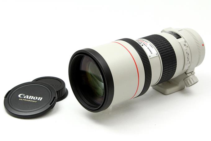 EF300mm F4L USM 望遠単焦点レンズ 【K816】 | キヤノン | 一眼レフ