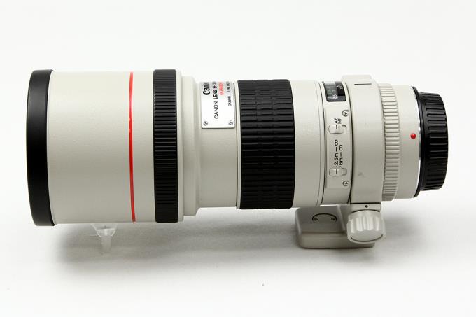 オンラインショップ】 EF300mm 単焦点望遠レンズ Canon F4L フルサイズ対応 USM IS - キヤノン - labelians.fr