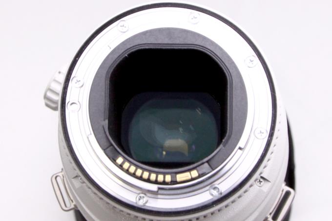 EF600mm F4L IS II USM 【K373】 | キヤノン | 一眼レフカメラ用 EF600mm F4L IS II USM 【K373】 | キヤノン | 一眼レフカメラ用