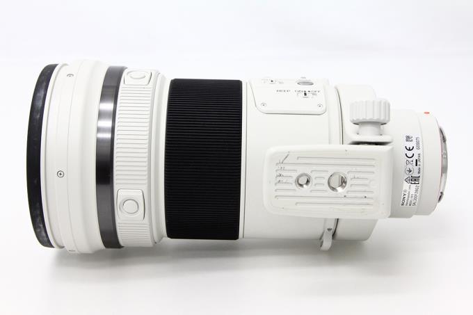 SONY ソニー 300mm F2.8 G SSM II 単焦点望遠レンズ SONY ソニー 300mm F2.8 G SSM II 単焦点望遠レンズ Review Sony 300mm
