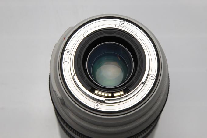 極美品】Canon EF70-300mm F4-5.6L IS USM - レンズ(ズーム)