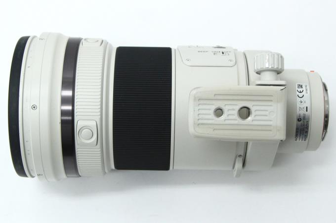 ソニー 300mm F2.8 G SSM II SAL300F28G2
