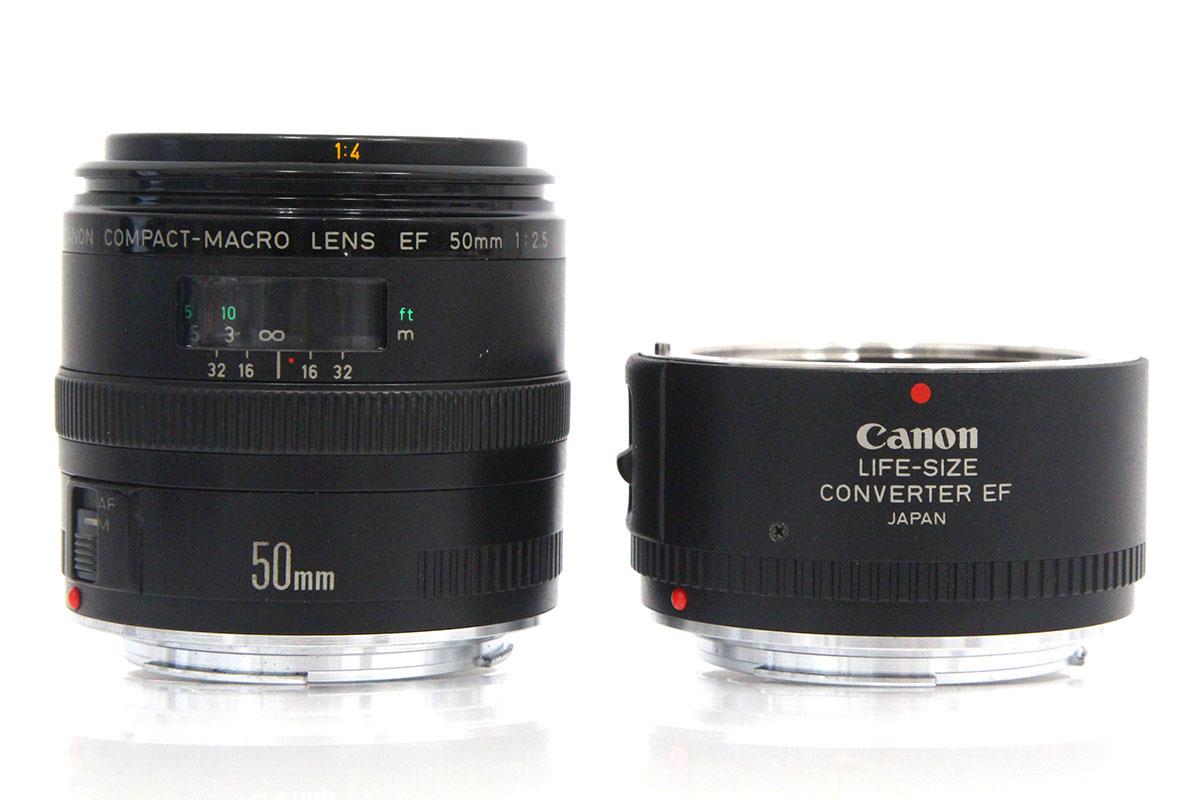 □コンパクトマクロ Canon EF50mm F2.5 - レンズ(単焦点)