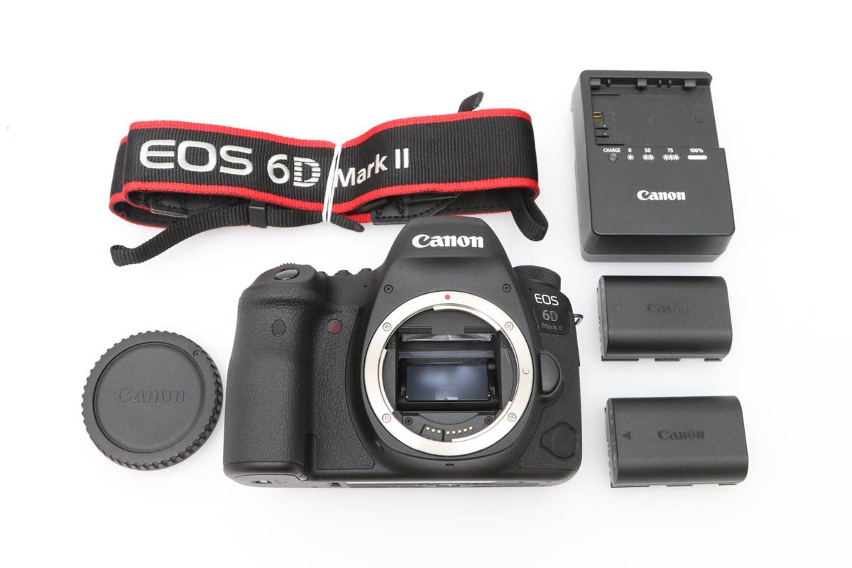 EOS 6D Mark II ボディ CA01-D243-2Q1B