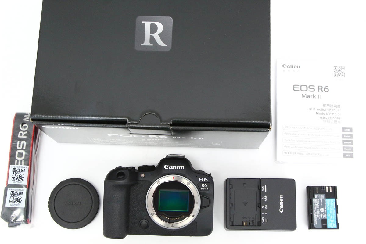 EOS R6 Mark II ボディ CA01-R6589-3X5